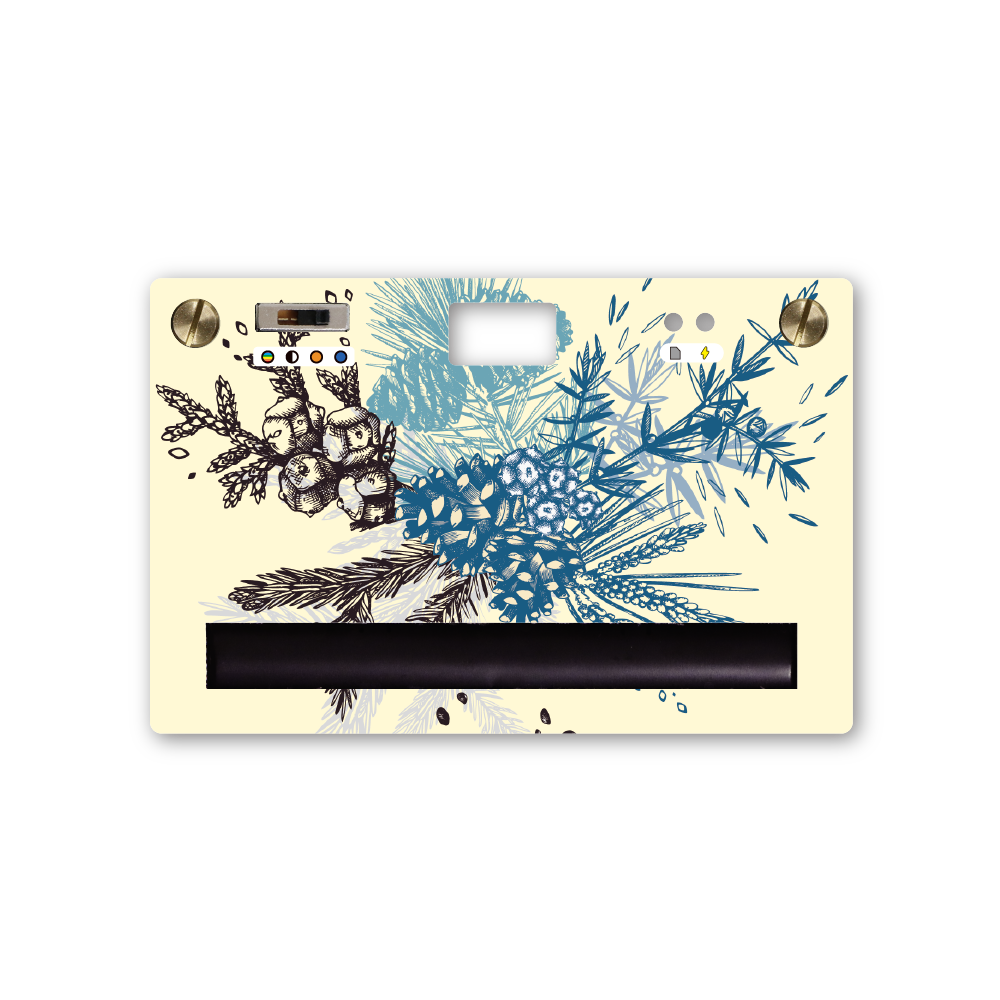 Bright Day Summer Bloom Paper Camera